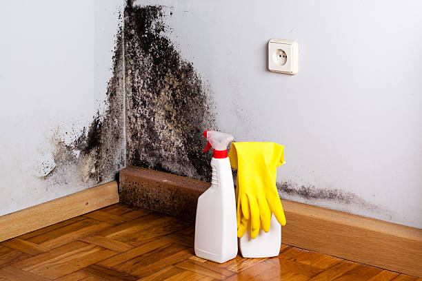 Water Damage Restoration in Curtisville, PA